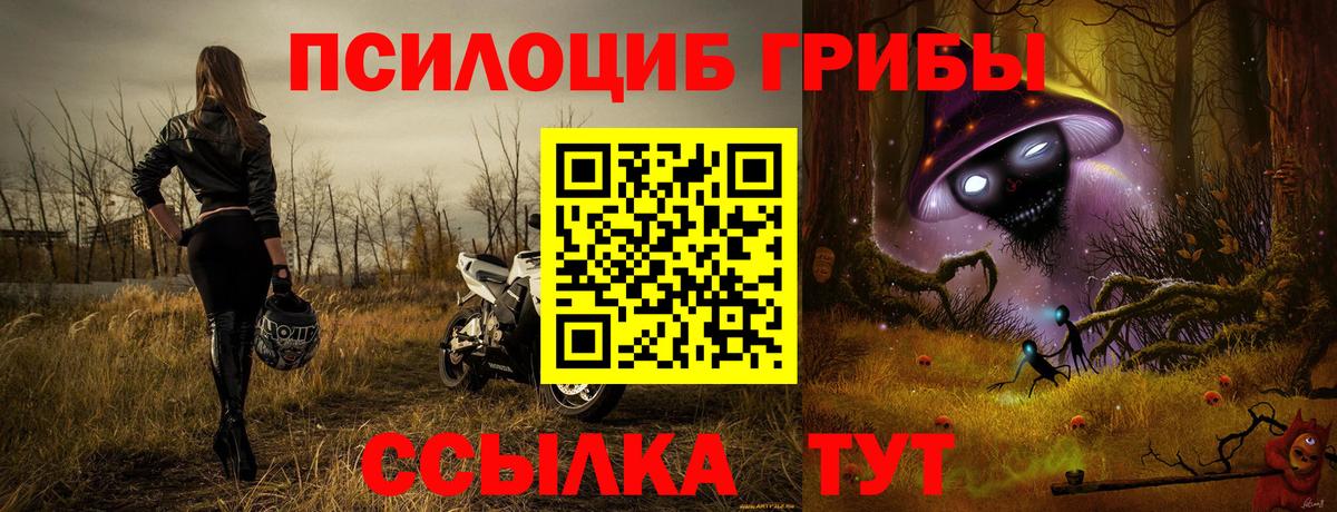 Псилоцибиновые грибы Psilocybine cubensis Черемхово